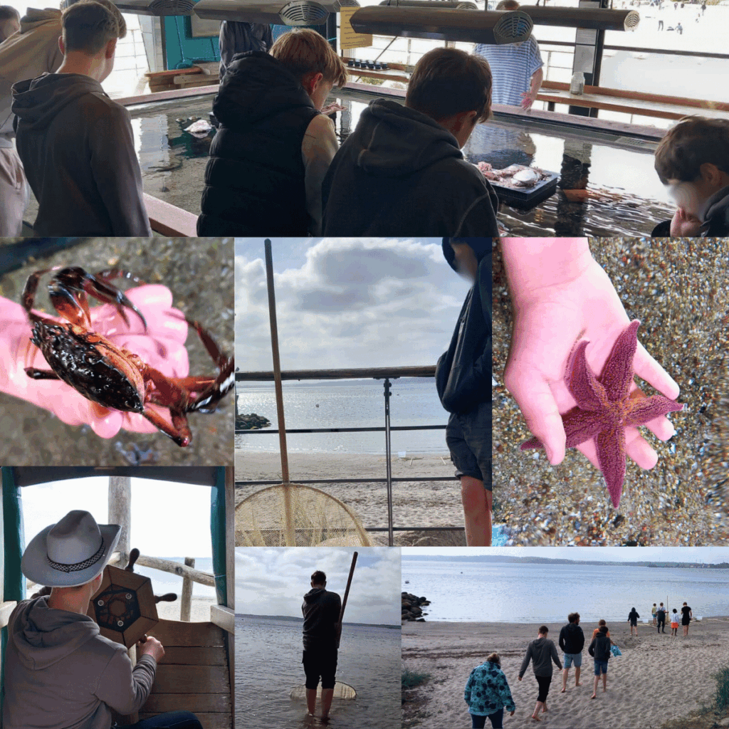 Das Bild zeigt die Schüler der Jordanschule bei ihrem Besuch im OIC Eckernförde beim Fühlbecken und mit Seestern und Krabbe auf der Hand und bei ihrem Ausflug an den Strand mit Kescher.