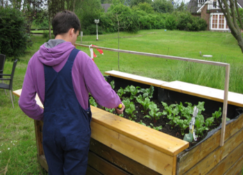 Mann arbeitet am Hochbeet