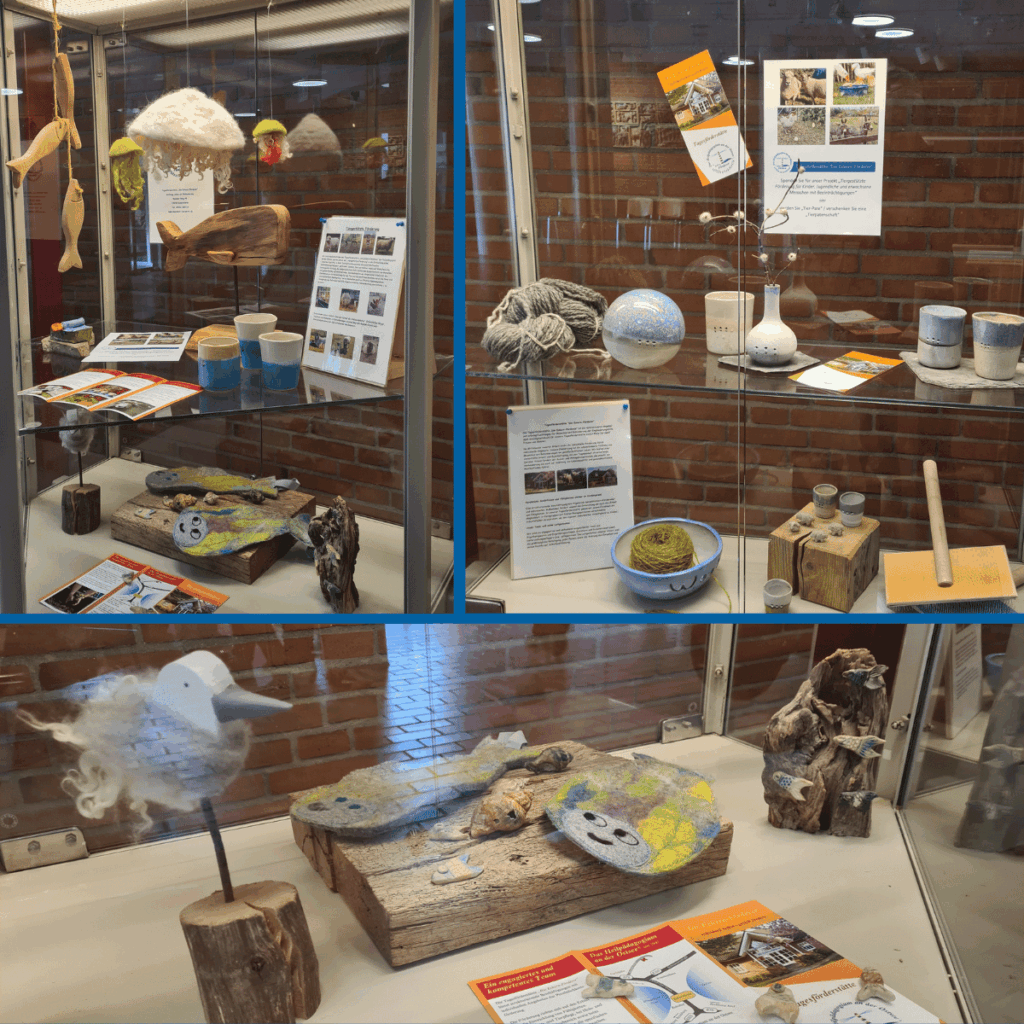 Zeigt Ausstellungsstücke der Tagesförderstätte in den Vitrinen des Rathauses in Eckernförde